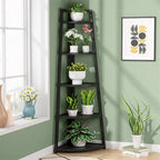 Étagère d'angle échelle à 5 niveaux, meuble de rangement pour plantes, bibliothèque, noir et blanc